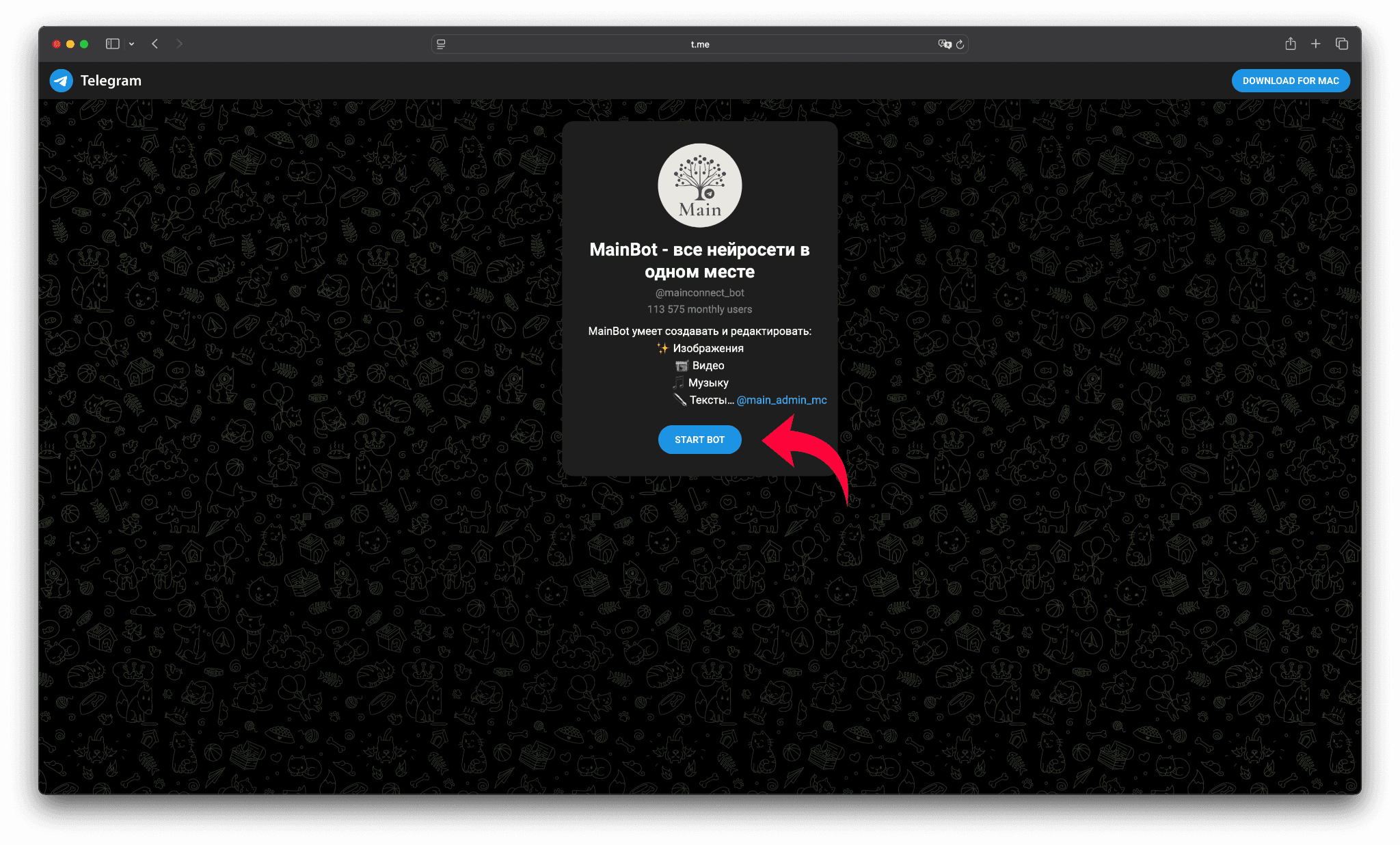 Alternative text: Стартовый экран бота MainBot в веб-версии Telegram с кнопкой Start Bot